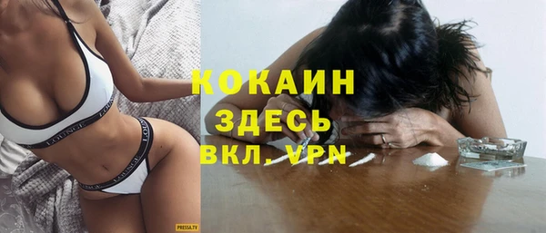 хмурый Арсеньев