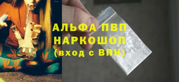 хмурый Арсеньев
