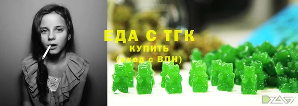 хмурый Арсеньев