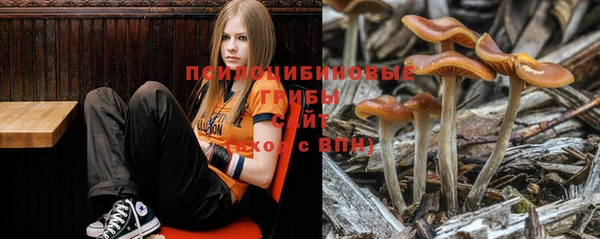 мяу мяу мука Баксан