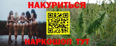 стаф Кулебаки