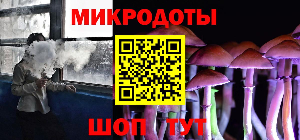 Псилоцибиновые грибы GOLDEN TEACHER  Вход с VPN  Псилоцибиновые грибы GOLDEN TEACHER  Пушкино 