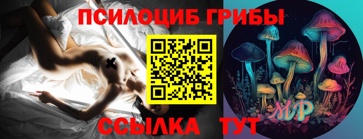 Псилоцибиновые грибы ЛСД Пушкино